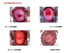 �����á����ƹ�������Ҫ����Ǯ��